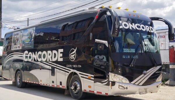 Bus Yutong 2018
