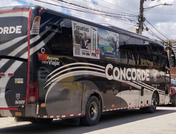 Bus Yutong 2018 - Imagen 2