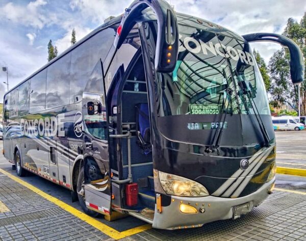 Bus Yutong 2018 - Imagen 5