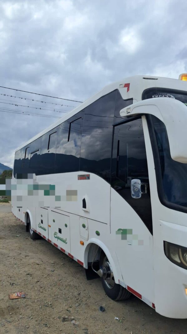 Forza Mercedes Benz 2019