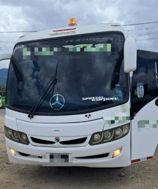 Forza Mercedes Benz 2019