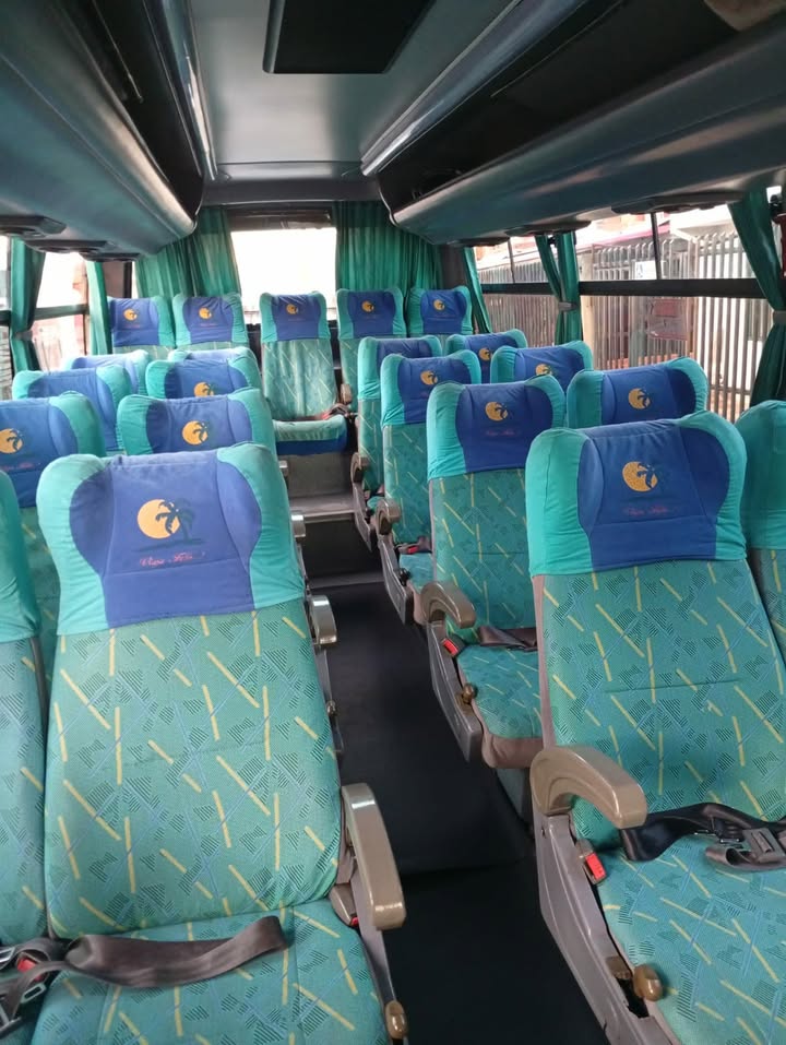 Nissan TK 55 2010 - Imagen 3