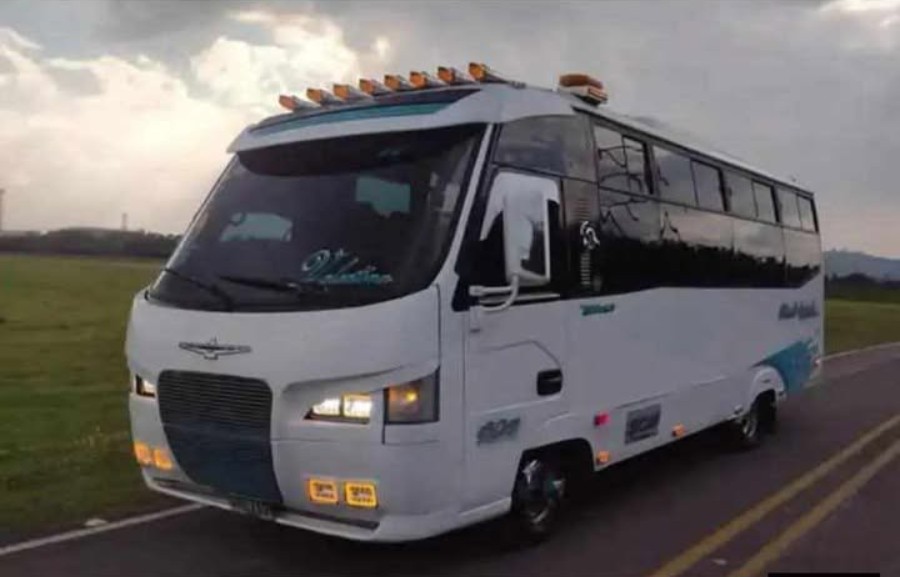 Nissan TK 55 2010 - Imagen 2