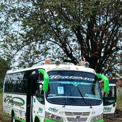 Hino 2008