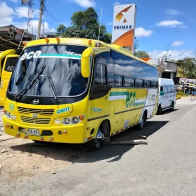 Hino 2007